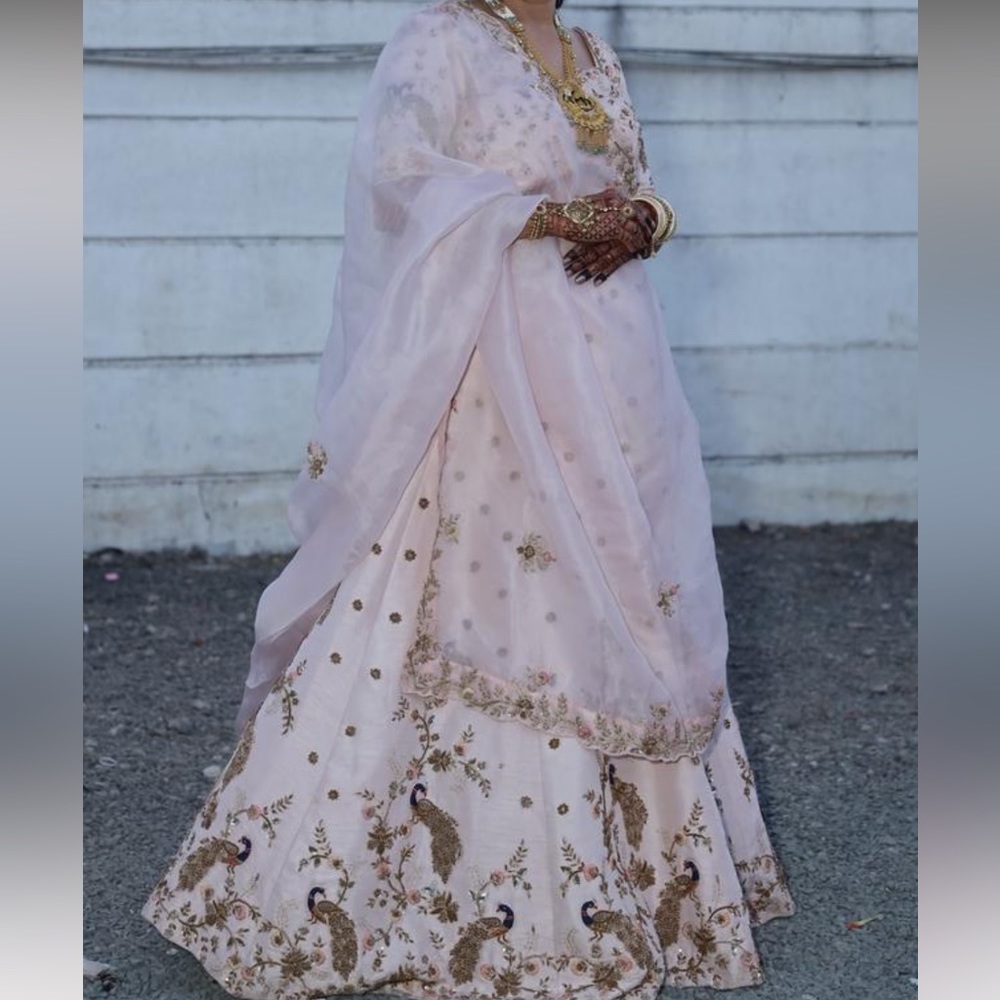 Beautiful Indian lahenga choli / chaniya choli.